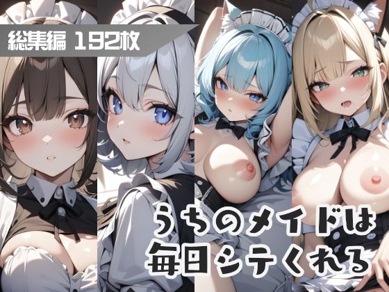 うちのメイドは毎日シテくれる 総集編