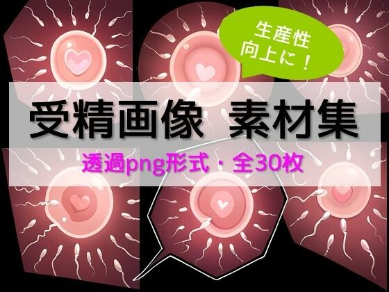 【生産性向上に！】詰め合わせ素材集:卵子に精子が群がる受精画像30枚【ちいさなおてて】