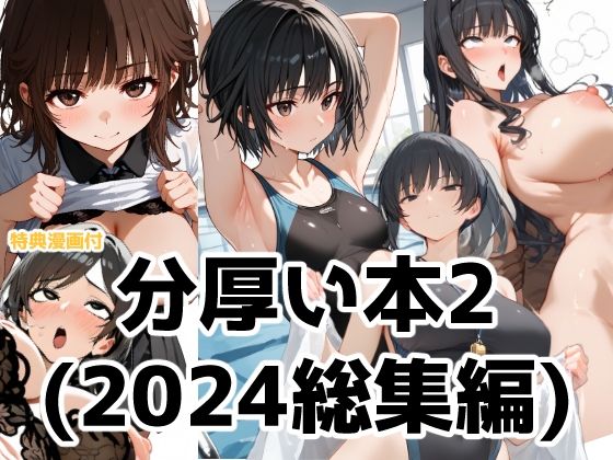 分厚い本2（2024年総集編第二弾）【Aidigger】